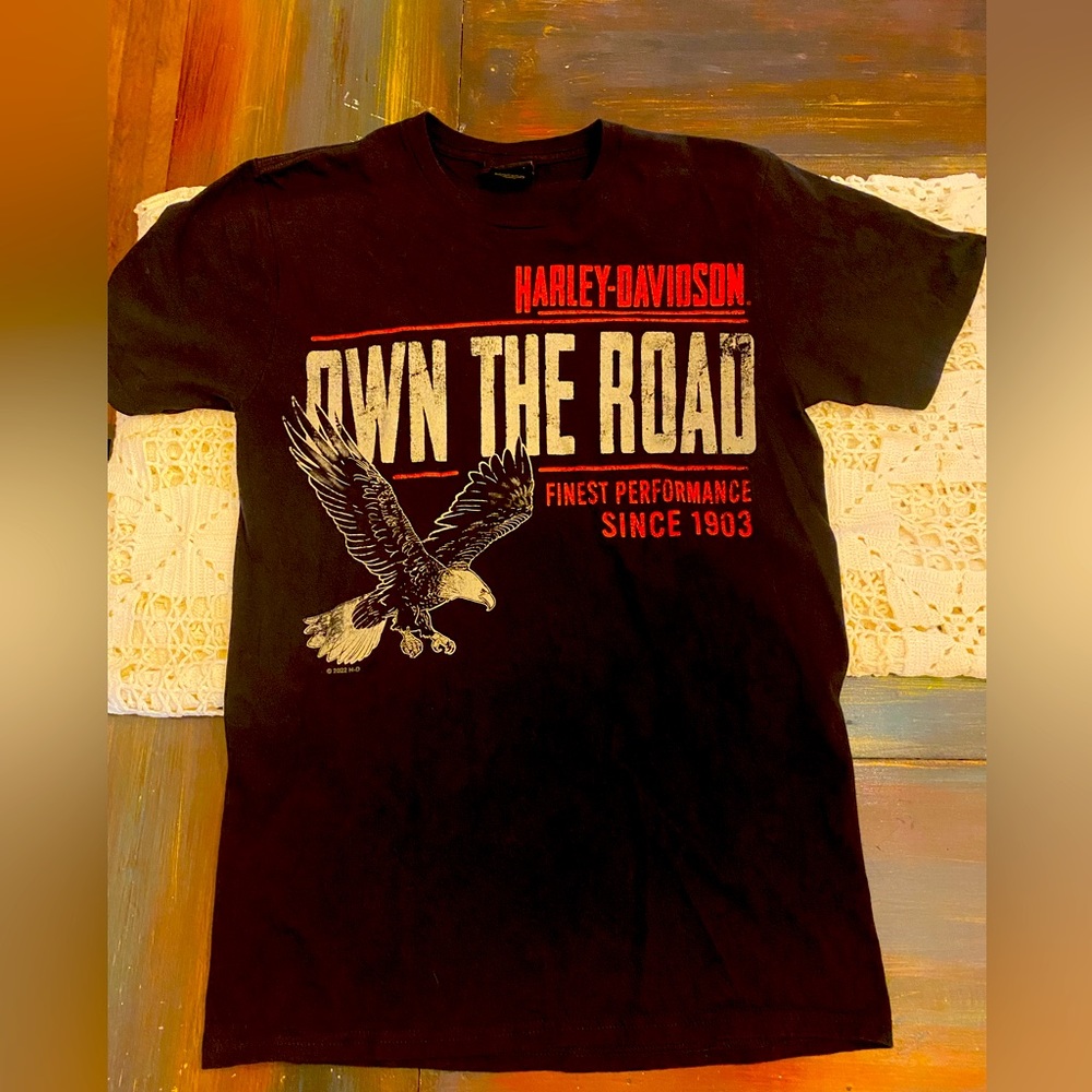 Harley Davidson T-Shirt Men’s Small